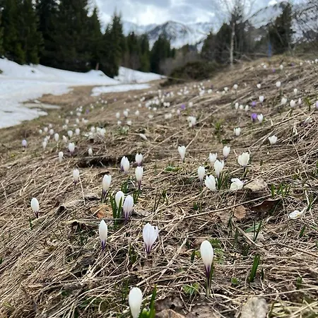 Cosy For 4 Near Lift, Cretes B24