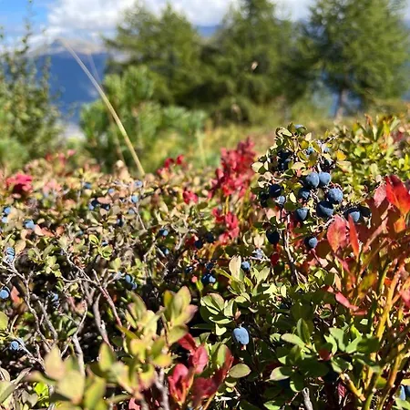 Cosy For 4 Near Lift, Cretes B24 Lägenhet Les Collons