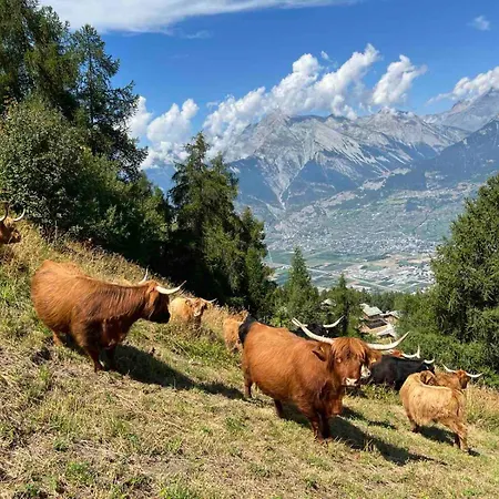 Апартаменты Cosy For 4 Near Lift, Cretes B24 Ле-Коллон